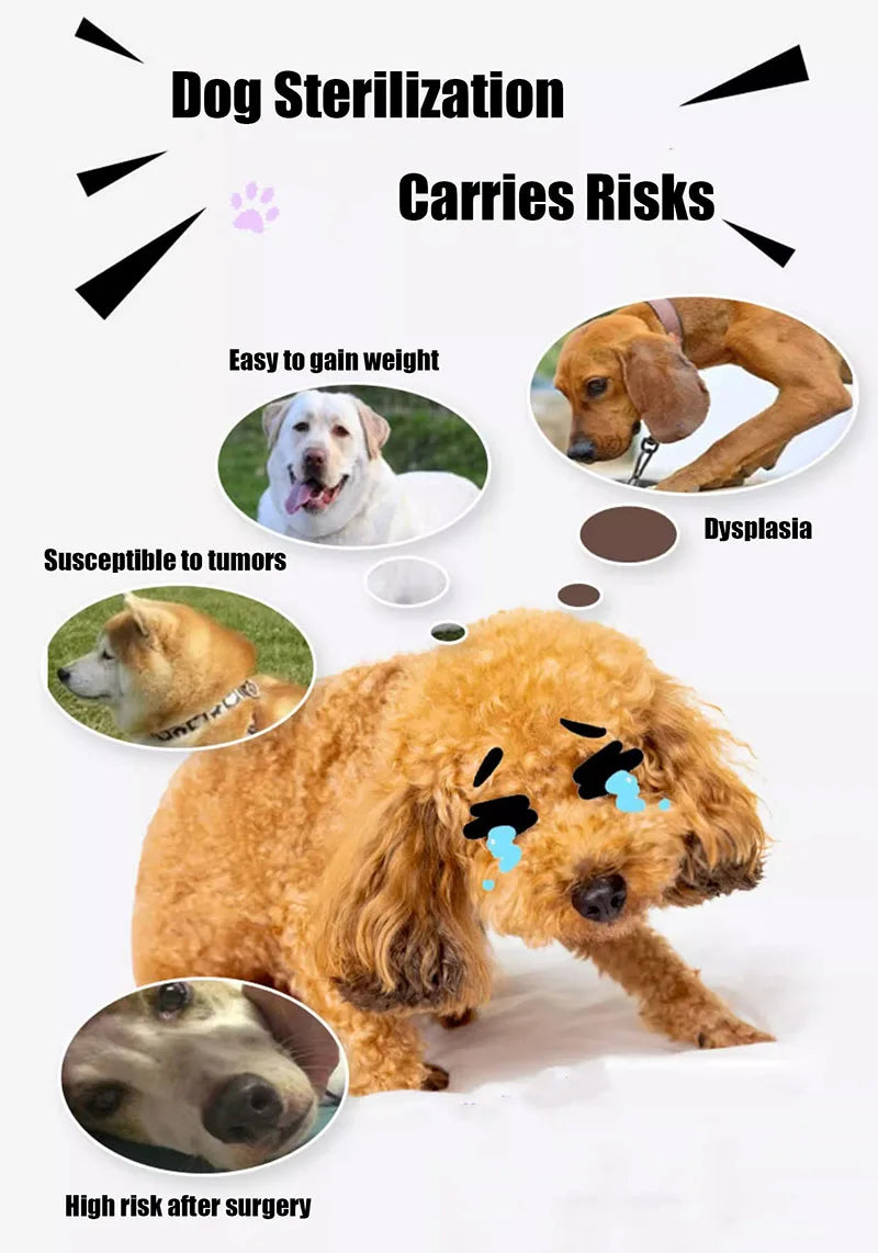 Dog Mating Sex Toy for Male, Sexual Games, Simulation Companion, Pet Male Sleep Estrus Vent Toy, Plush Poodle Masturbator