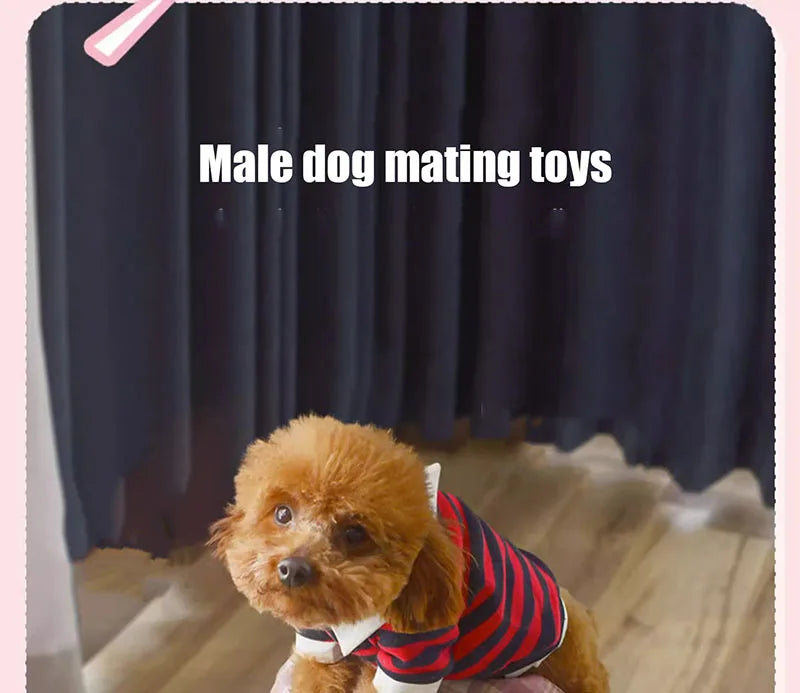 Dog Mating Sex Toy for Male, Sexual Games, Simulation Companion, Pet Male Sleep Estrus Vent Toy, Plush Poodle Masturbator